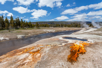 Upper Geyser Basin, Yellowstone National Park, Wyoming, United States of America