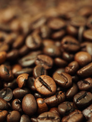 Closeup of coffee beans selective focus