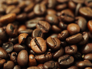 Closeup of coffee beans selective focus