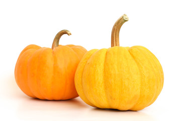Pumpkin isolated on white background
