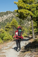 Yount femela trekker on her way through mountain forest.