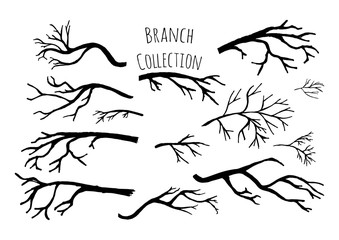 Hand drawn tree branches collection.