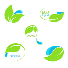 Icons, emblems and frames with green leaves and water droplets for ecological and natural design