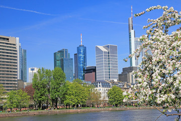 Fototapeta premium frankfurt am main deutschland
