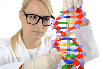 Arzt, Gentechniker oder Genetiker untersucht Modell einer DNA Doppelhelix