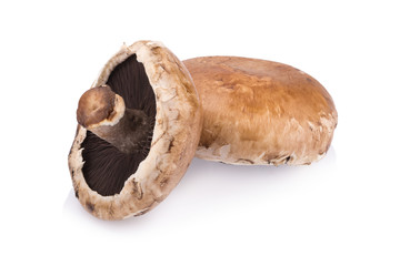 portobello mushrooms isolated on white background