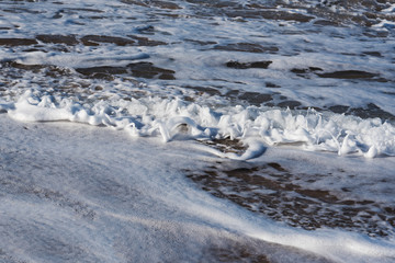 Foamy wave.
