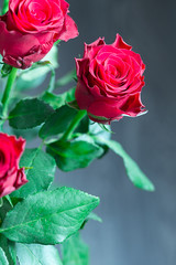 Beautiful Red Roses Bouquet, Close-up, Vertical
