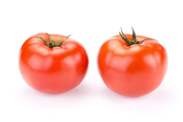 Red Tomatoes on white background