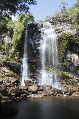 Obraz premium Cascada grande con abundante agua en el medio de una foresta. Cooktown, Queensland, Australia