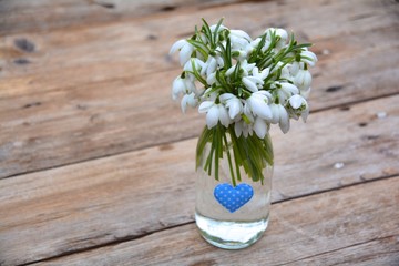 Blumenstrauß - Schneeglöckchen - Glückwunschkarte 