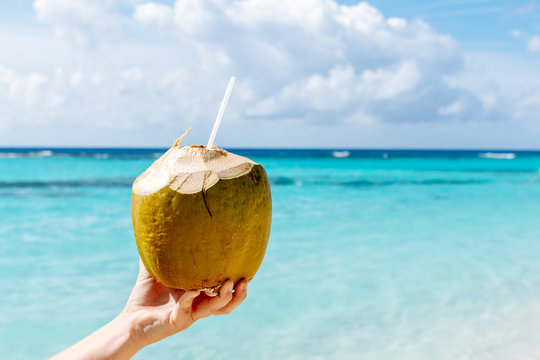 Appetizing coconut on the beach