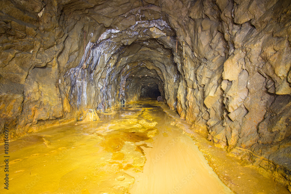 Wall mural Old abandoned gold mine tunnel passage