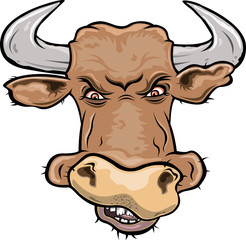 Head of furious bull