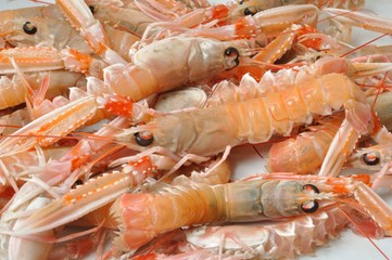 Close-up of three scampi