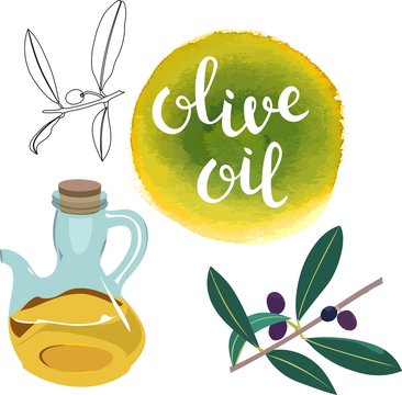 Set of vector drawn olive oil design elements