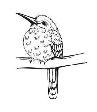 recommend clip art: small bird on a branch