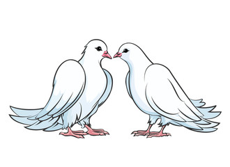 Kissing couple of doves. Dove couple, love dove bird, kiss pigeon, valentine dove wedding, vector illustration