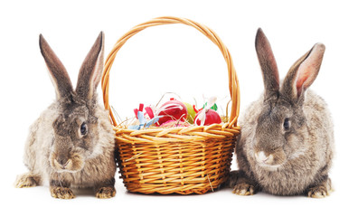 Easter bunnies with colored eggs.