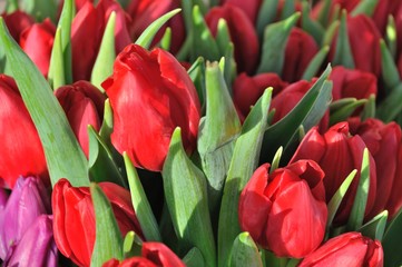 A colourful display of tulips outside a  florist.