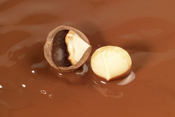 Macadamia in Schokolade