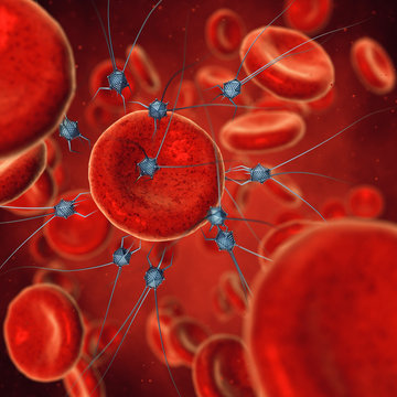 Nanorobots And Blood Cells , Nanotechnology