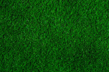 Fototapeta premium Texture of green grass