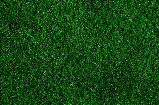 Texture of green grass