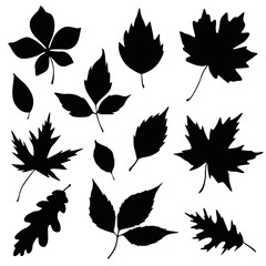 autumn leaves silhouette set