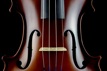 Violin Body Middle Section View on a Black Background