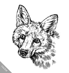 engrave ink draw fox illustration