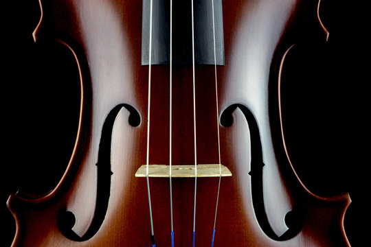 Violin Body Middle Section View on a Black Background