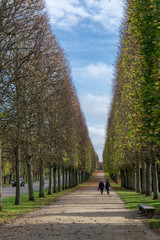 Fall in Versailles