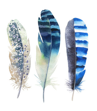 Hand drawn watercolor feather set. Boho style. illustration isol