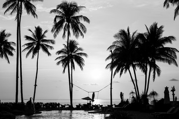 Silhouetten van palmbomen op een tropisch strand, zwart-wit fotografie.