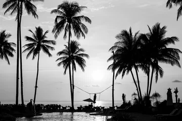 Zelfklevend Fotobehang Palmboom Silhouetten van palmbomen op een tropisch strand, zwart-wit fotografie.