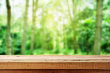 Wooden table and blur forest background.