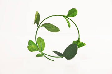 shape of circle twig with leaves on a white background