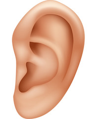 Illustration of ear human isolated on white background  - obrazy, fototapety, plakaty