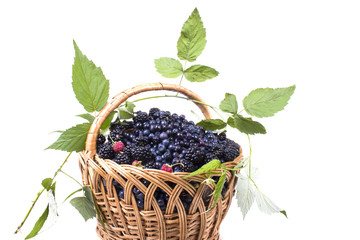 Fototapeta na wymiar big basket with useful berries