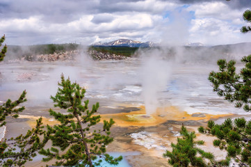 Beautiful Vibrant Geysers in Norris Basin, Yellowstone 