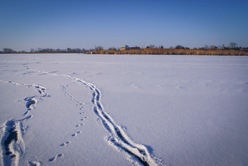 Лед на реке