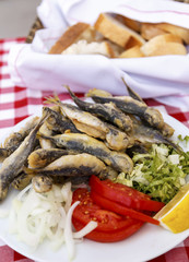 grilled sardines