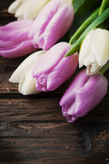 Bouquet of tulips on the wooden table
