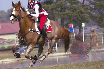 Cheval cross extérieur