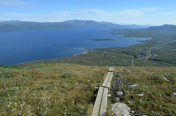 Wooden walkway through marsh with cotton grass overlooking valley of lake Torneträsk and Abisko,...
