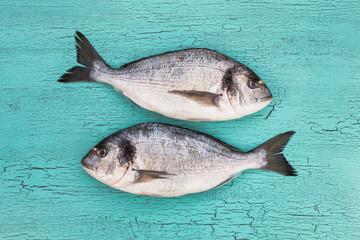 Two raw dorado fish. Top view, copy space