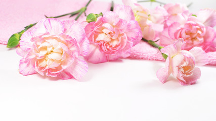 Fototapeta na wymiar Carnation flower spa with pink towel