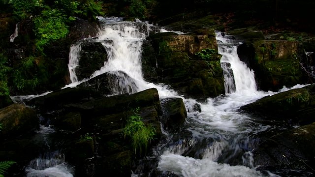 Selkefall- 