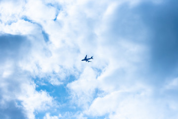 Fototapeta premium Airplane flies in the blue sky
